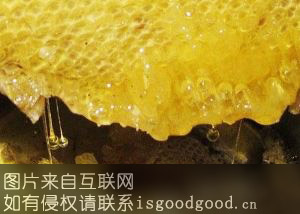 彭水七跃山蜂蜜特产照片