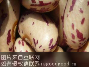 紫花芸豆特产照片