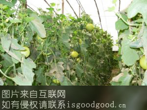 大尹村镇蔬菜特产照片