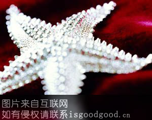 西藏珠宝首饰特产照片