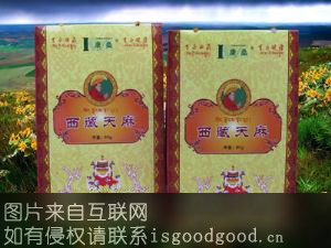 西藏天麻特产照片