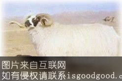 西藏山羊特产照片