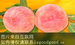孟姜红甜桃特产照片