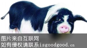宁乡猪特产照片