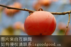 兰溪大红柿特产照片