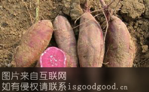 永福紫花红薯特产照片