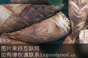 桂北冬笋特产照片