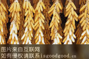 赤峰黄玉米特产照片