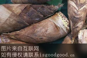 黄湖白壳哺鸡笋特产照片
