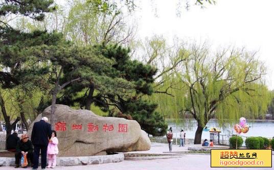 锦州动物园景点照片