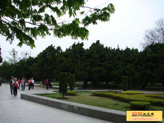 旅顺植物园景点照片