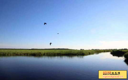 吉林镇赉环城国家湿地公园景点照片