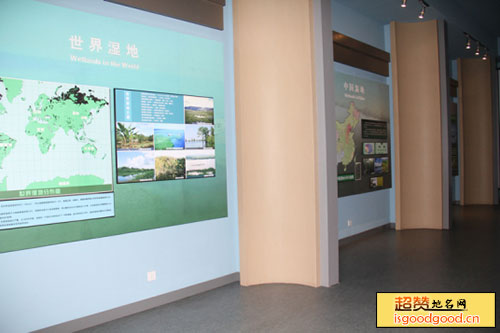 三江平原湿地宣教馆景点照片