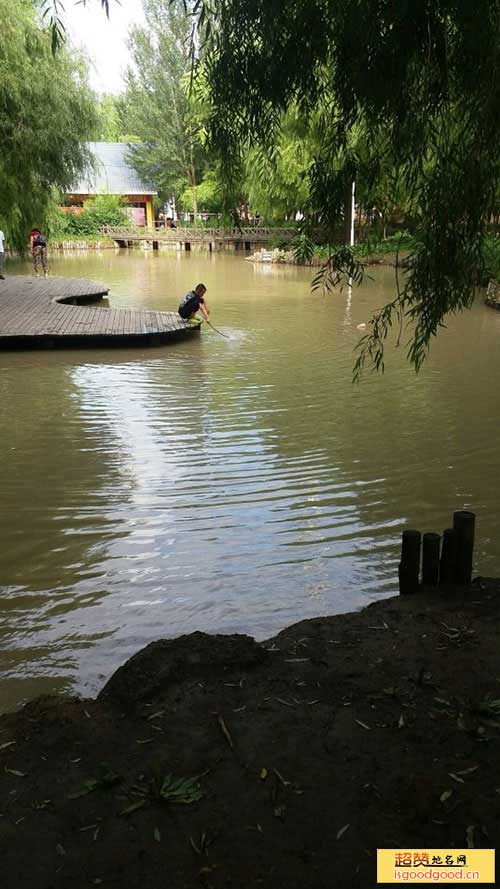 新福附近景点肇州湿地