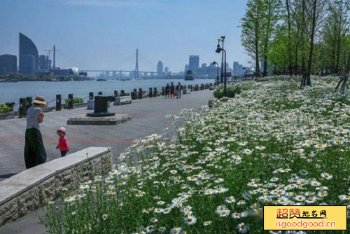 上海河滨公园景点照片