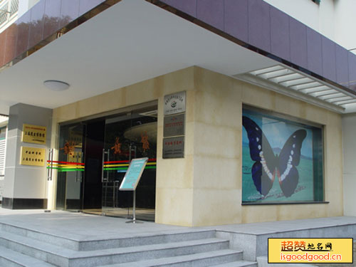 上海昆虫博物馆景点照片
