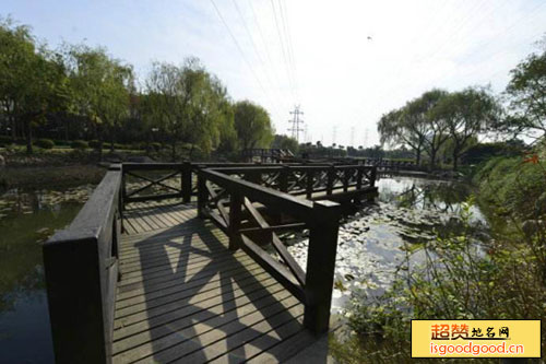 上海水生园景点照片