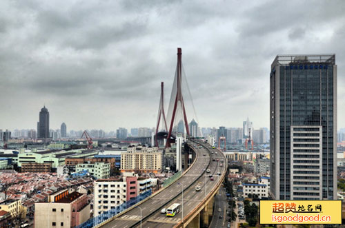 杨浦大桥景点照片