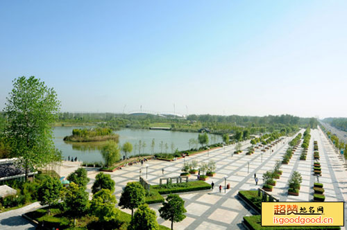 泗阳生态公园景点照片