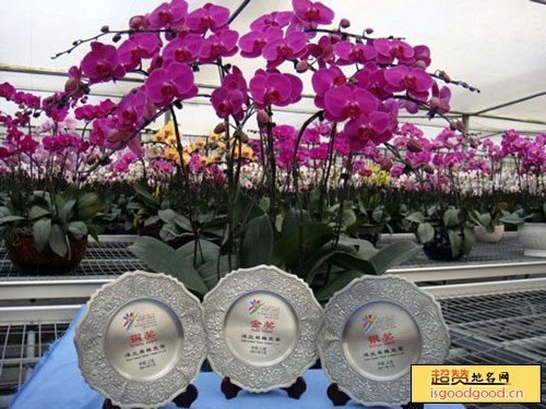 连云港现代农业科技示范园景点照片