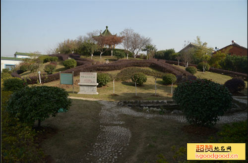 神墩古文化遗址景点照片