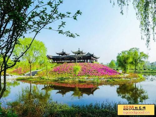 扬州芍药园景点照片