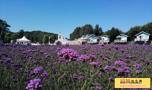 紫海香堤香草艺术庄园景点照片