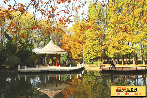 安庆莲湖公园景点照片