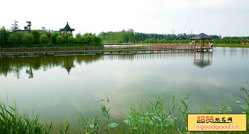 毛集农民公园景点照片