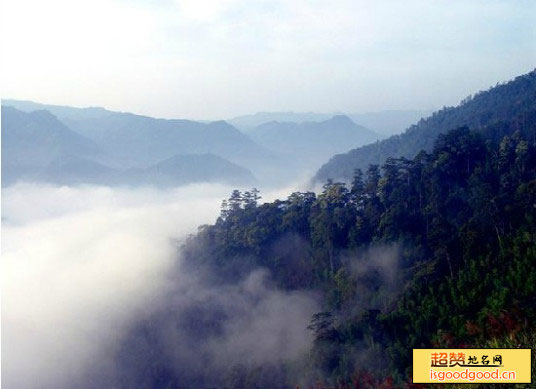 梅花山自然保护区景点照片