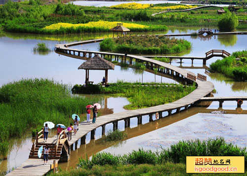 天津下营环秀湖国家湿地公园景点照片