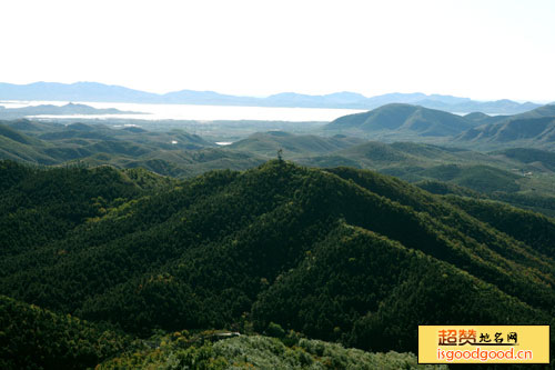 九龙山国家森林公园景点照片