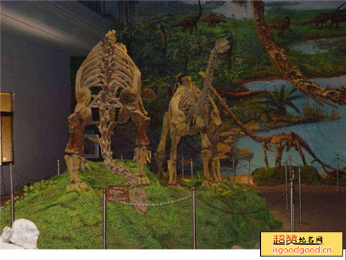 山旺古生物化石博物馆景点照片