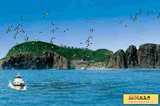 海驴岛景点照片