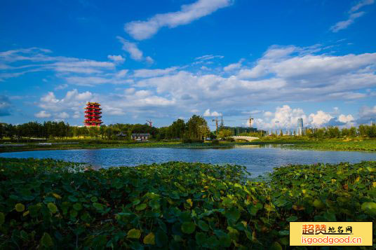 牟平沁水河口国家湿地公园景点照片