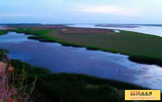 黄河湿地国家级自然保护区景点照片