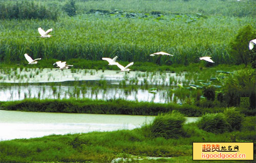 洪湖湿地自然保护区景点照片