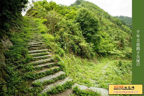 鹞子尖古道景点照片