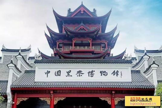中国黑茶博物馆景点照片