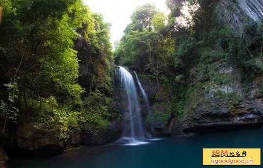 大树坳附近景点象狮坡森林公园