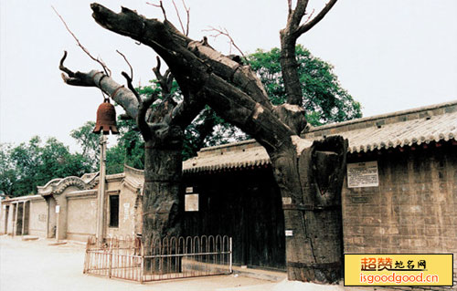 张登附近景点冉庄地道战遗址