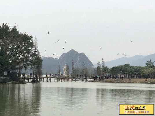 广东星湖国家湿地公园景点照片