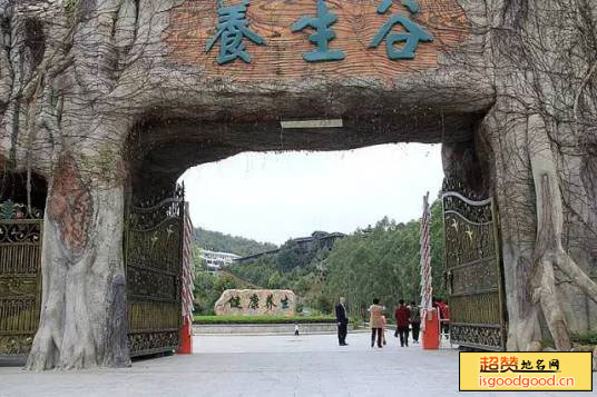 南寿峰健康产业园景点照片
