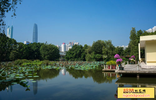深圳人民公园景点照片