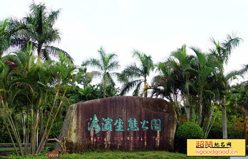 深圳红树林海滨生态公园景点照片