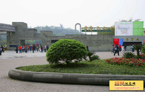 重庆动物园景点照片