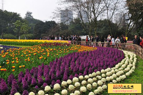 重庆花卉园景点照片