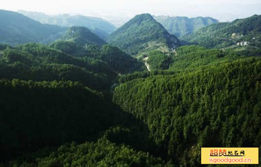 梁平东山国家森林公园景点照片