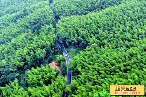 茶山竹海国家森林公园景点照片