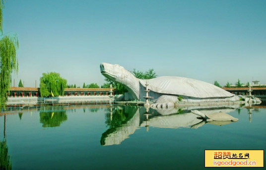 东方巨龟苑景点照片